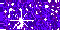 purple2.gif