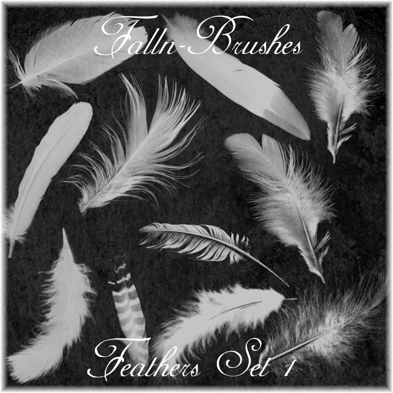 feathers_brushes_set_1_by_falln_stock.jpg