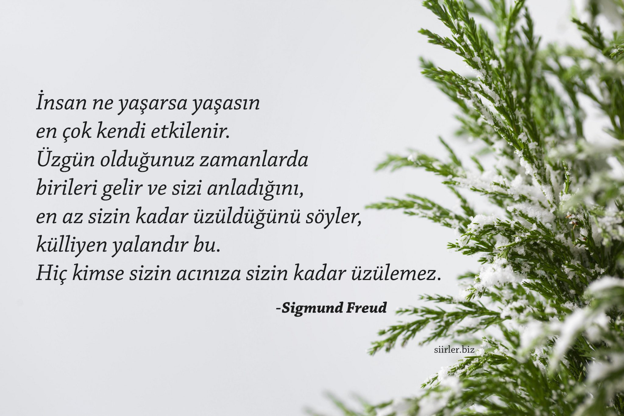 Sigmund-Freud-Sozleri-scaled.jpg