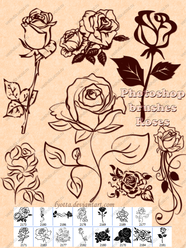 brushes_roses_by_lyotta-d67mu0y.jpg