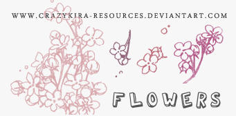 flower_brushes_by_crazykira_resources.jpg