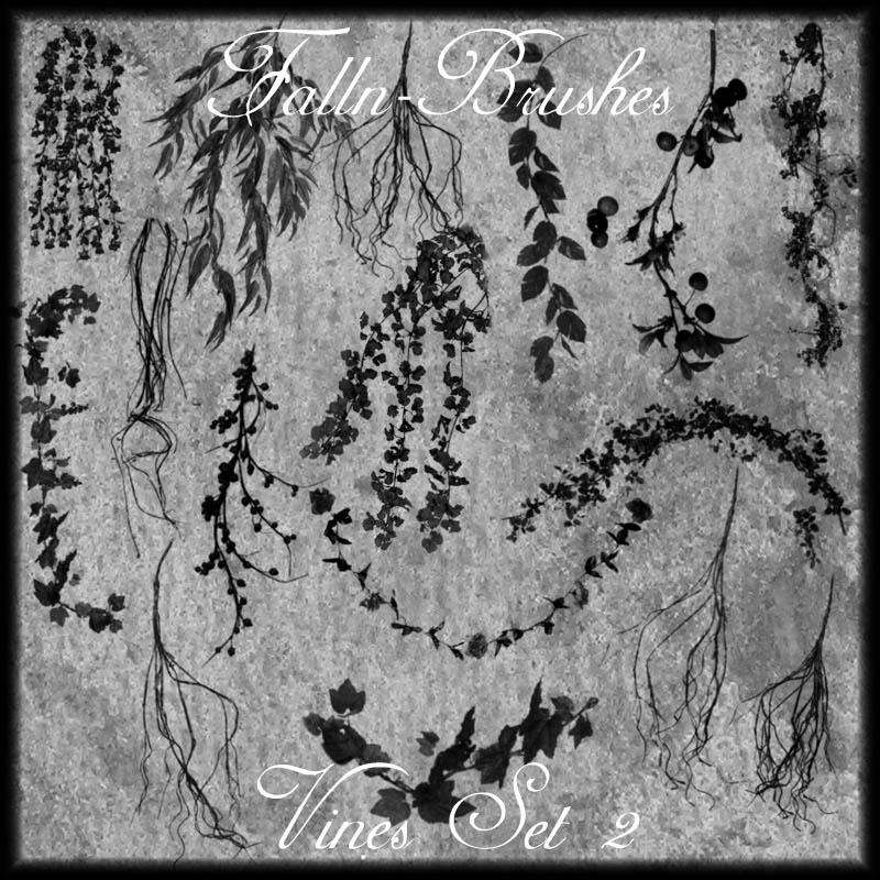 vines_brushes_set_2_by_falln_stock.jpg