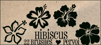 hibiscus_by_pervoibrushes.jpg