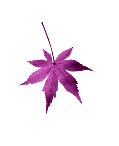 0_4ef0f_41debedb_L