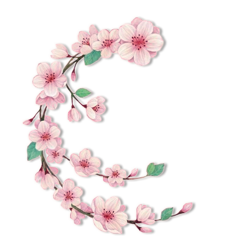 blossom_by_jaejade-d5xsfbk.png