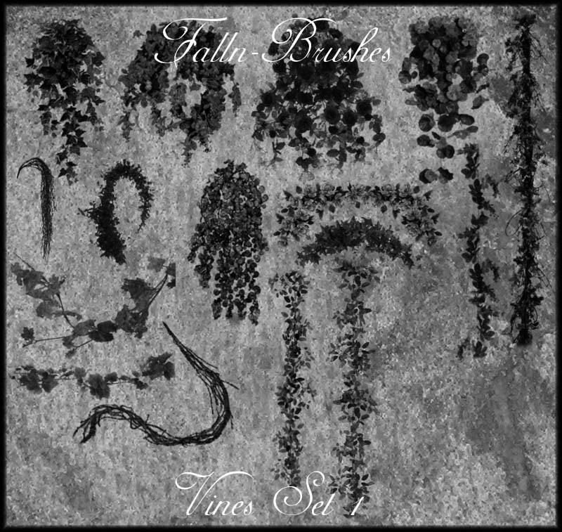 vines_brushes_set_1_by_falln_stock.jpg